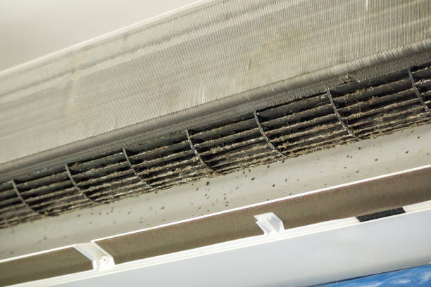 Best Home Air Vent Cleaning  in Adairsville, GA